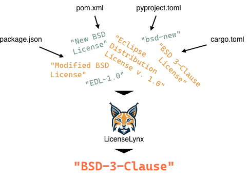 LicenseLynx Workflow Explanation
